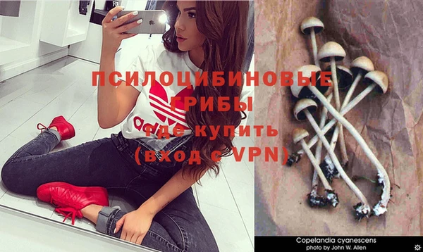прущая мука Алзамай