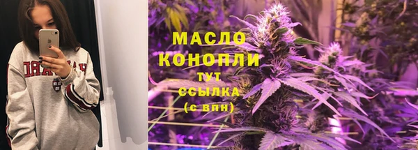 дмт Алексин