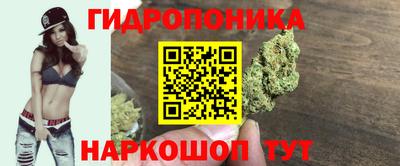 spice Апшеронск