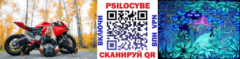 Псилоцибиновые грибы GOLDEN TEACHER Аргун
