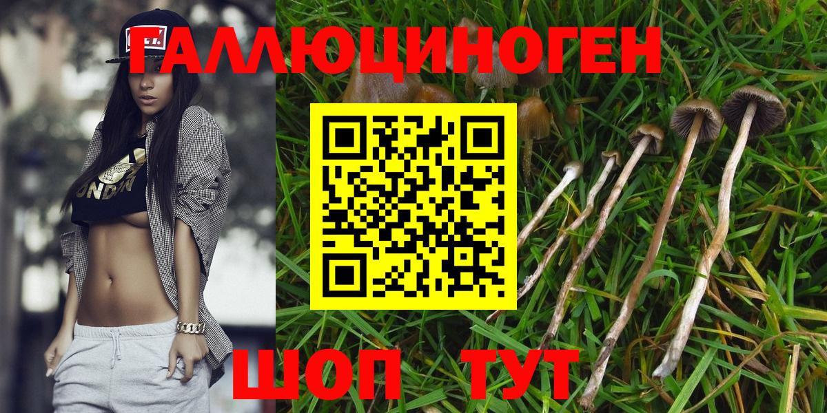 Галлюциногенные грибы GOLDEN TEACHER  Вход с VPN  Аргун 