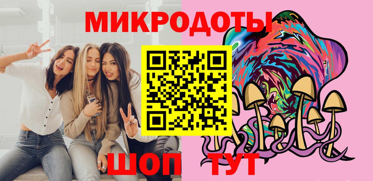 Галлюциногенные грибы Psilocybe  Аргун 