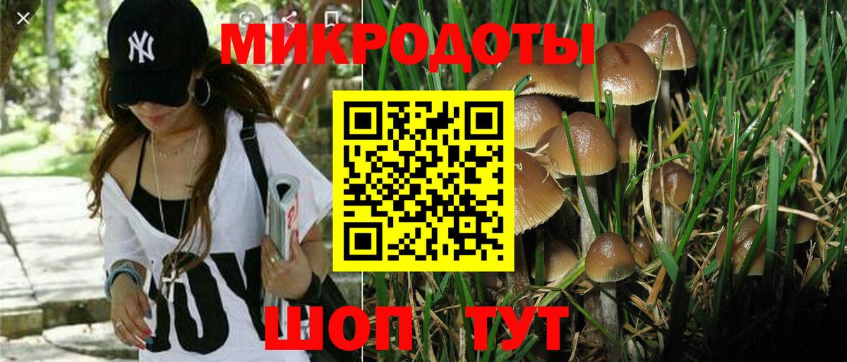 Псилоцибиновые грибы MAGIC MUSHROOMS Аргун