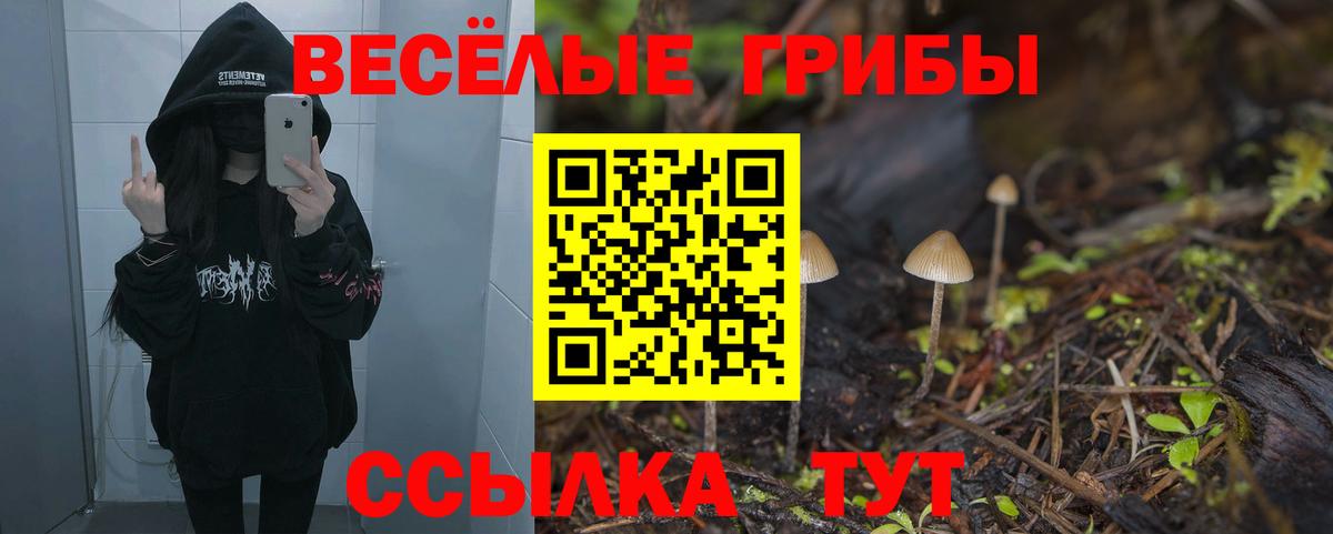 Галлюциногенные грибы Psilocybe Аргун